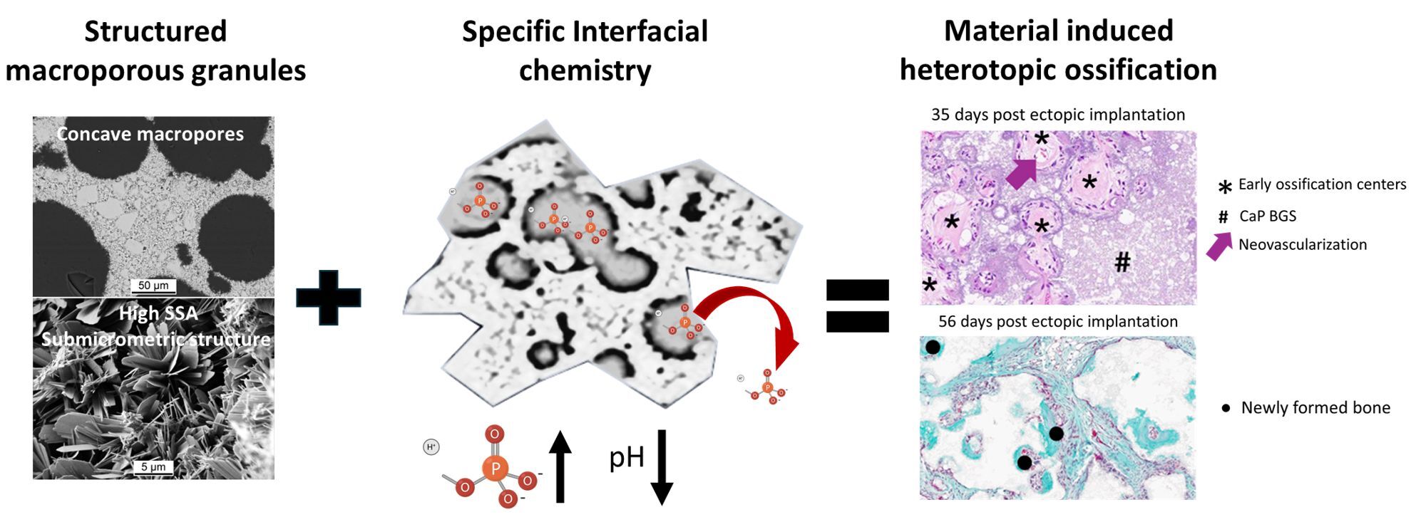 2026_Maazouz_Material-induced_2000x726