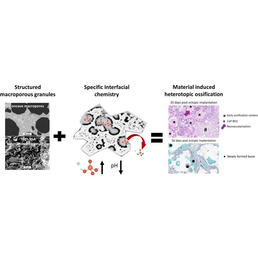 2026_Maazouz_Material-induced_1000x1000